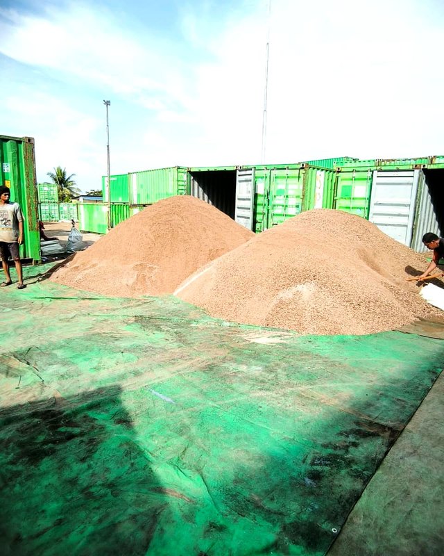 PKE Piles on Tarpaulin — Palm Kernel Expeller, East Kalimantan