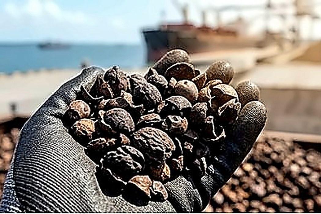 Raw Material Quality — Palm Kernel Shell, East Kalimantan